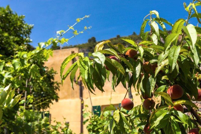 Agriturismo La Selva 호텔 피날레리구레 외부 사진