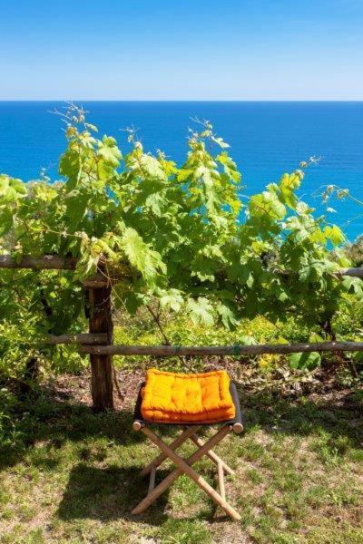 Agriturismo La Selva 호텔 피날레리구레 외부 사진