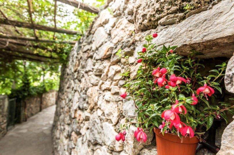 Agriturismo La Selva 호텔 피날레리구레 외부 사진