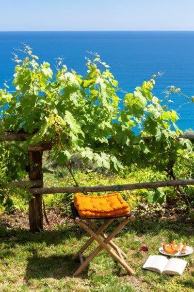 Agriturismo La Selva 호텔 피날레리구레 외부 사진