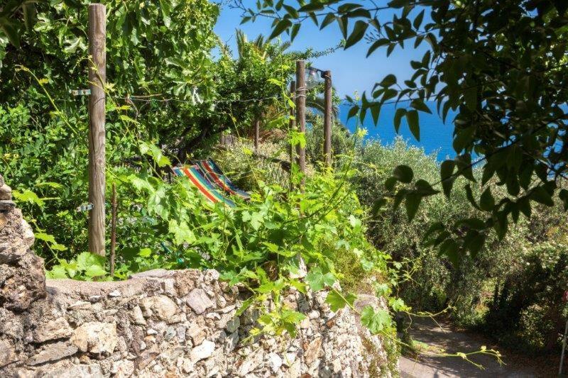 Agriturismo La Selva 호텔 피날레리구레 외부 사진