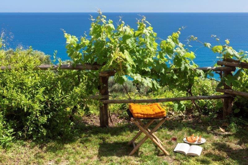 Agriturismo La Selva 호텔 피날레리구레 외부 사진
