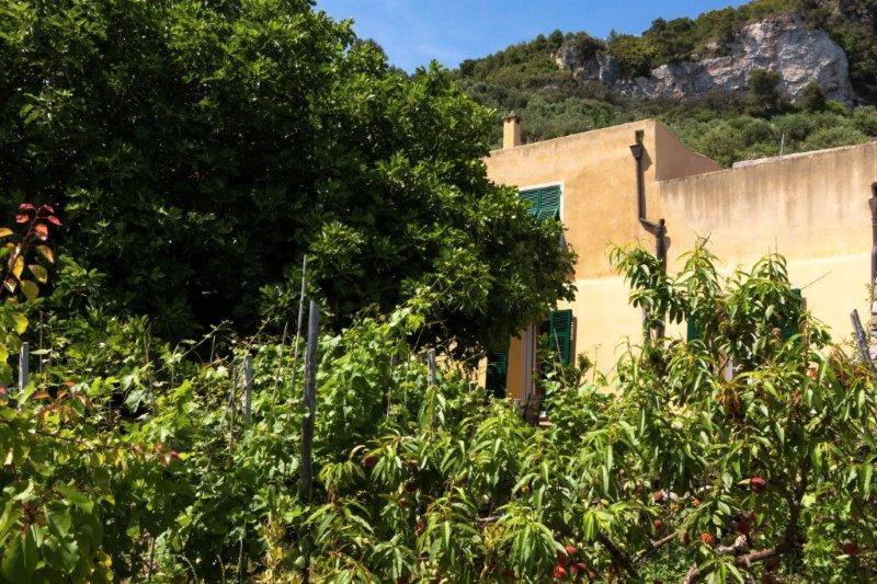 Agriturismo La Selva 호텔 피날레리구레 외부 사진