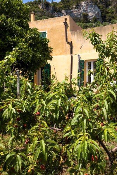 Agriturismo La Selva 호텔 피날레리구레 외부 사진