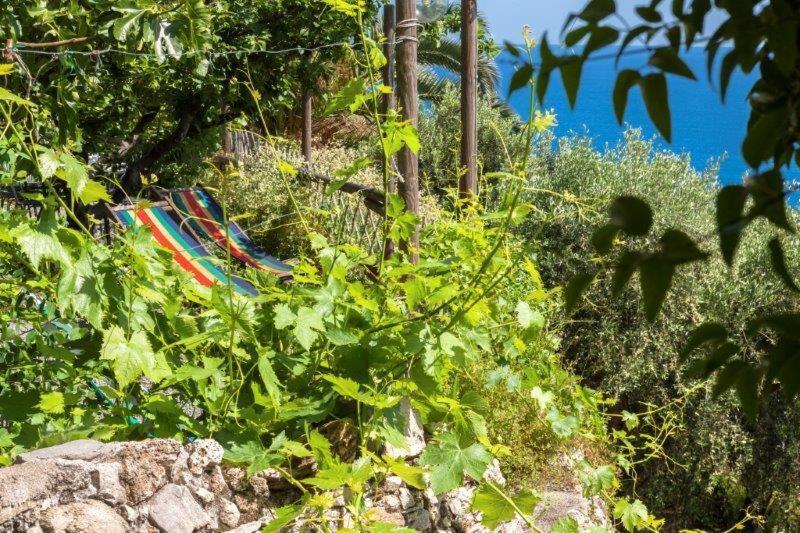 Agriturismo La Selva 호텔 피날레리구레 외부 사진