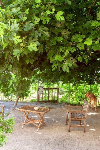 Agriturismo La Selva 호텔 피날레리구레 외부 사진